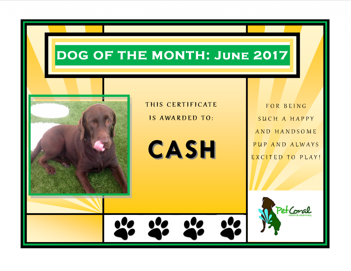 DOG OF THE MONTH-JUNE 2017 (CASH DUDLEY) 