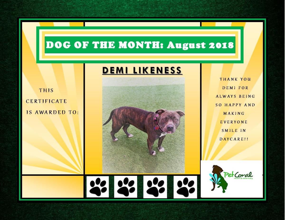 DOG OF THE MONTH- August 2018
