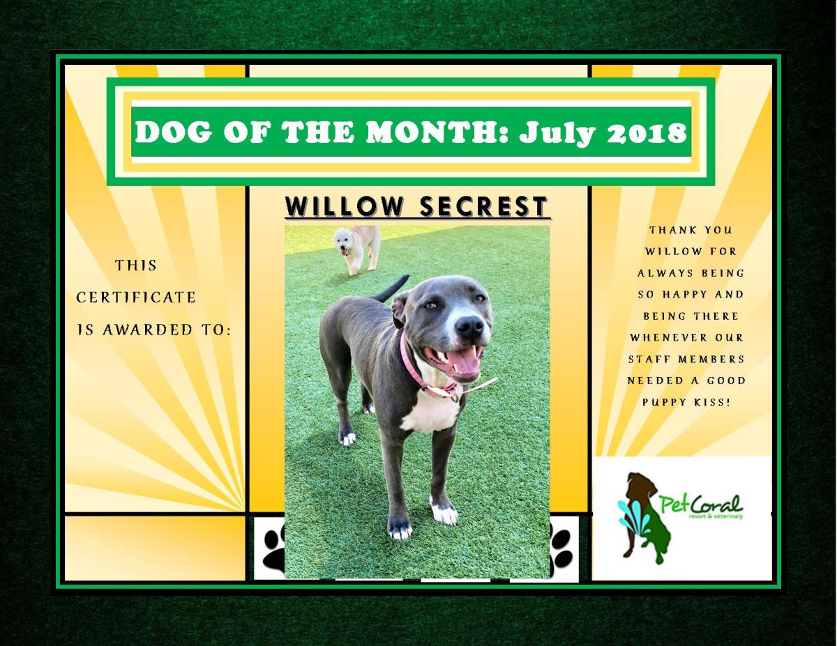 DOG OF THE MONTH- JULY 2018