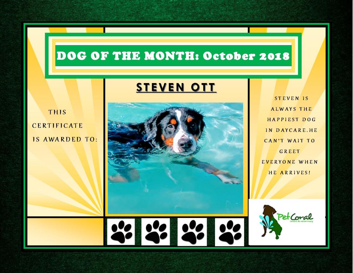 DOG OF THE MONTH - OCTOBER 2018